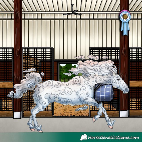 Horse Color:Brown Sabino 