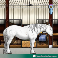 Horse Color:Brown Sabino 