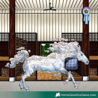 Horse Color:Brown Sabino 