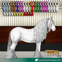 Horse Color:Brown Sabino