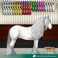 Horse Color:Brown Sabino