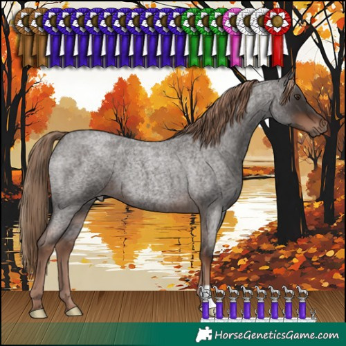Horse Color:Liver Red Roan 