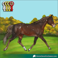 Horse Color:White Spotted Liver Chestnut Splash 