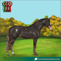 Horse Color:White Spotted Liver Chestnut Splash 