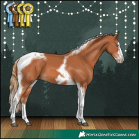 Horse Color:Chestnut Splash Tobiano Frame