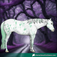 Horse Color:Watercolor White Spotted Brown Ice Appaloosa 