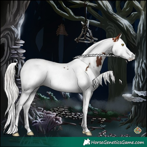 Horse Color:White Spotted Silver Bay Splash Tobiano 