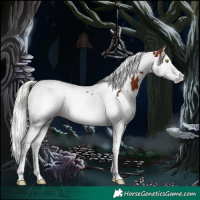 Horse Color:White Spotted Silver Bay Splash Tobiano 