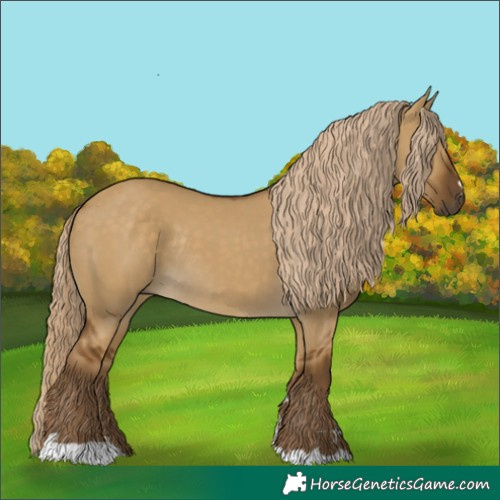 Horse Color:Chocolate Palomino Dun Rabicano 