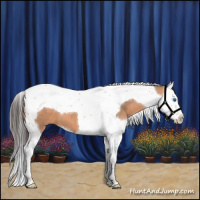 Horse Color:Bay Dun Splash Tobiano 