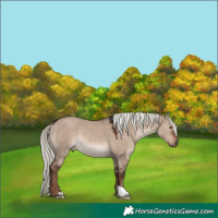 Horse Color:Liver Red Dun Mushroom Rabicano 