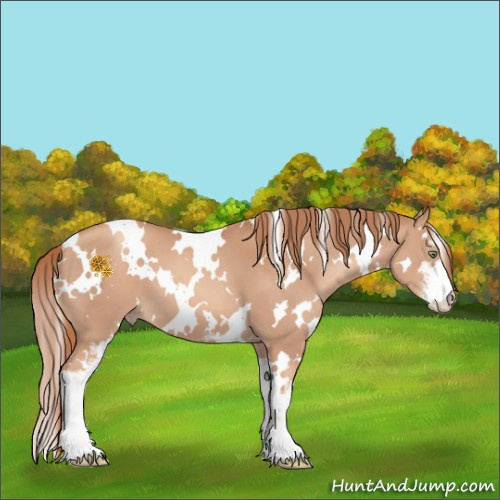 Horse Color:White Spotted Gold Champagne Sabino 