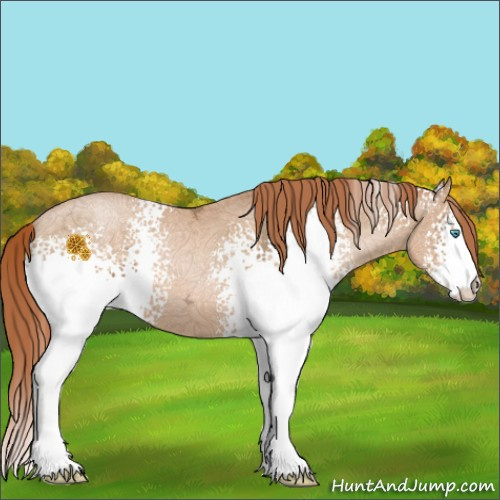 Horse Color:White Spotted Buckskin Ice Pearl 