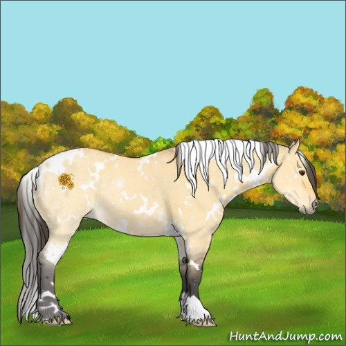 Horse Color:White Spotted Buckskin Dun 