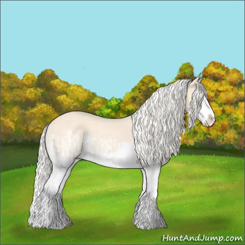 Horse Color:Cremello Splash and Cremello Splash Rabicano