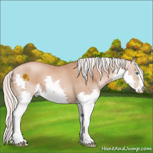 Horse Color:Silver Brown Pearl Splash 