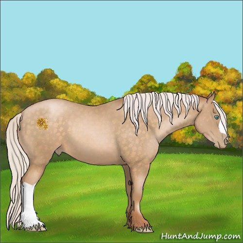 Horse Color:Silver Buckskin Pearl 
