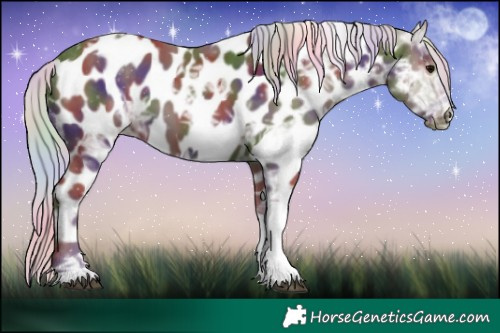 Horse Color:Nacre Silver Black Ice Tobiano Appaloosa 