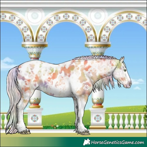 Horse Color:Nacre Silver Sable Cream Champagne Ice Tobiano Frame Near Leopard Rabicano