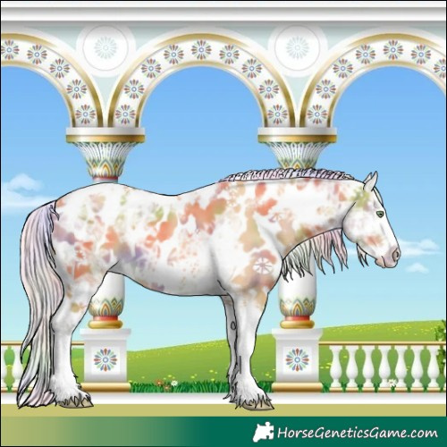 Horse Color:Nacre Silver Sable Cream Champagne Ice Tobiano Frame Appaloosa Rabicano 