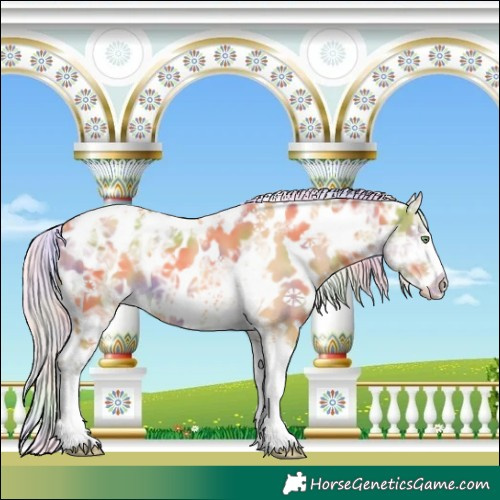Horse Color:Nacre Silver Sable Cream Champagne Ice Tobiano Frame Appaloosa Rabicano 