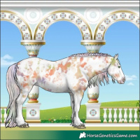 Horse Color:Nacre Silver Sable Cream Champagne Ice Tobiano Frame Appaloosa Rabicano 