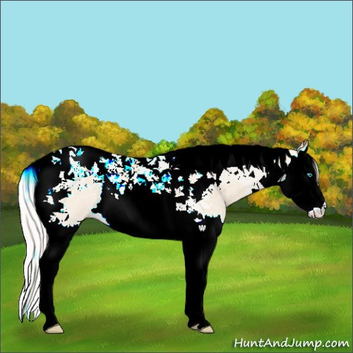 Horse Color:Cremello Splash Tobiano 