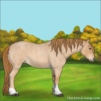 Horse Color:Red Roan Tobiano 
