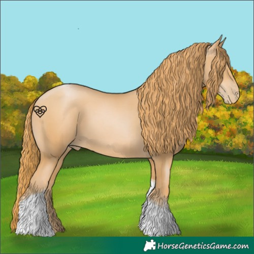 Horse Color:Chestnut Pearl Tobiano