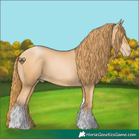 Horse Color:Chestnut Pearl Tobiano 