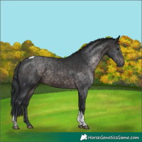 Horse Color:Platinum Brown Tobiano 