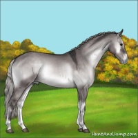 Horse Color:Platinum Silver Brown Onyx 