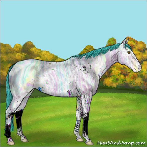 Horse Color:ERROR: UNKNOWN ANOMALY