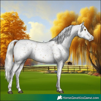 Horse Color:Silver Buckskin Sabino