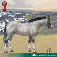 Horse Color:Gray Brown Roan Splash Rabicano 