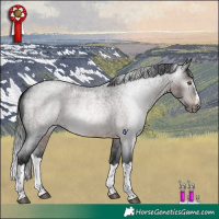 Horse Color:Gray Brown Roan Splash Rabicano