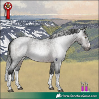 Horse Color:Gray Brown Roan Splash Rabicano