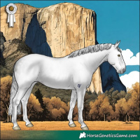 Horse Color:Gray Brown Roan Splash Rabicano 