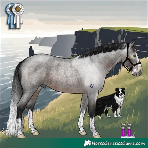 Horse Color:Gray Brown Roan Splash Rabicano 