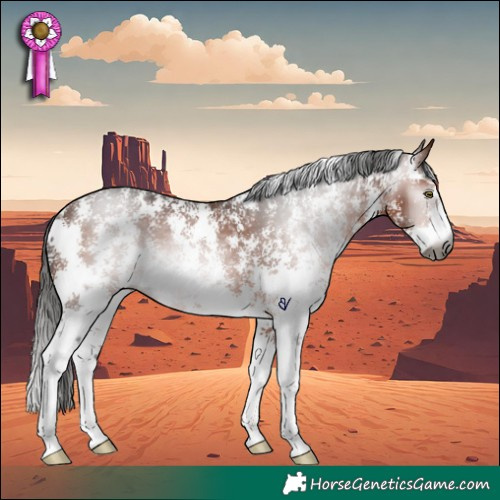 Horse Color:Gray Bay Sabino Rabicano 