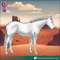 Horse Color:Gray Bay Sabino Rabicano 