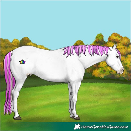 Horse Color:Painted Midnight Black Ice Varnish Rabicano 