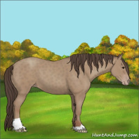 Horse Color:Classic Champagne Tobiano 