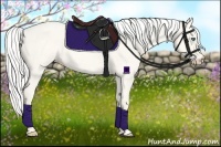 Horse Color:Silver Perlino Roan