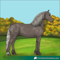 Horse Color:Silver Black 