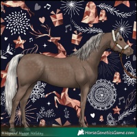 Horse Color:Silver Black 