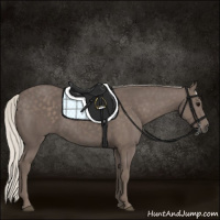 Horse Color:Silver Black 