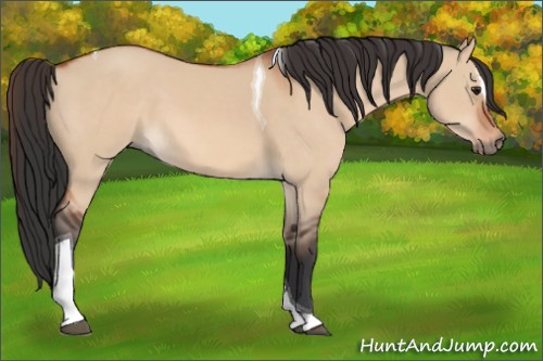 Horse Color:Brown Dun Sabino Tobiano
