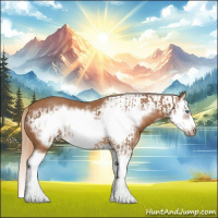 Horse Color:Chestnut Splash Frame  and Chestnut Splash Frame Rabicano 