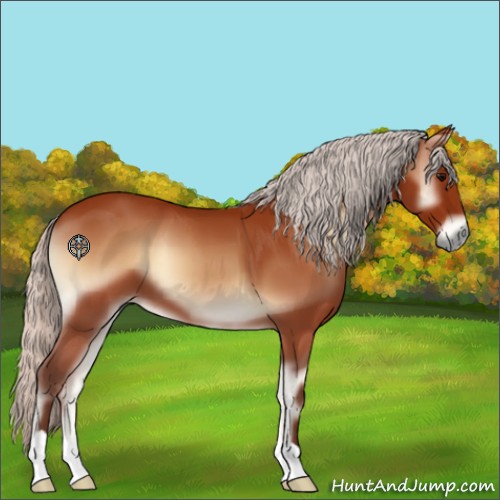 Horse Color:Silver Brown Onyx 